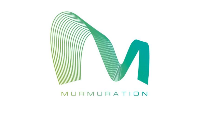 Murmuration’s sustainable tourism index: TSDI