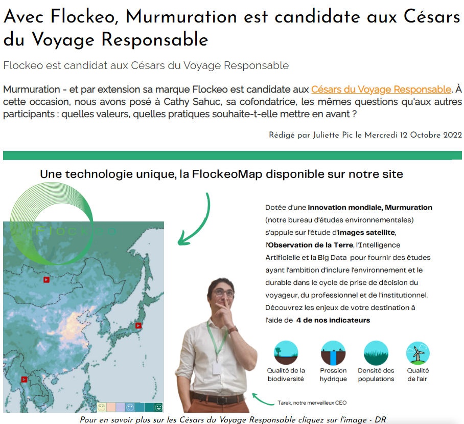 Con Flockeo, Murmuration es candidata a los Premios al Viaje Responsable.