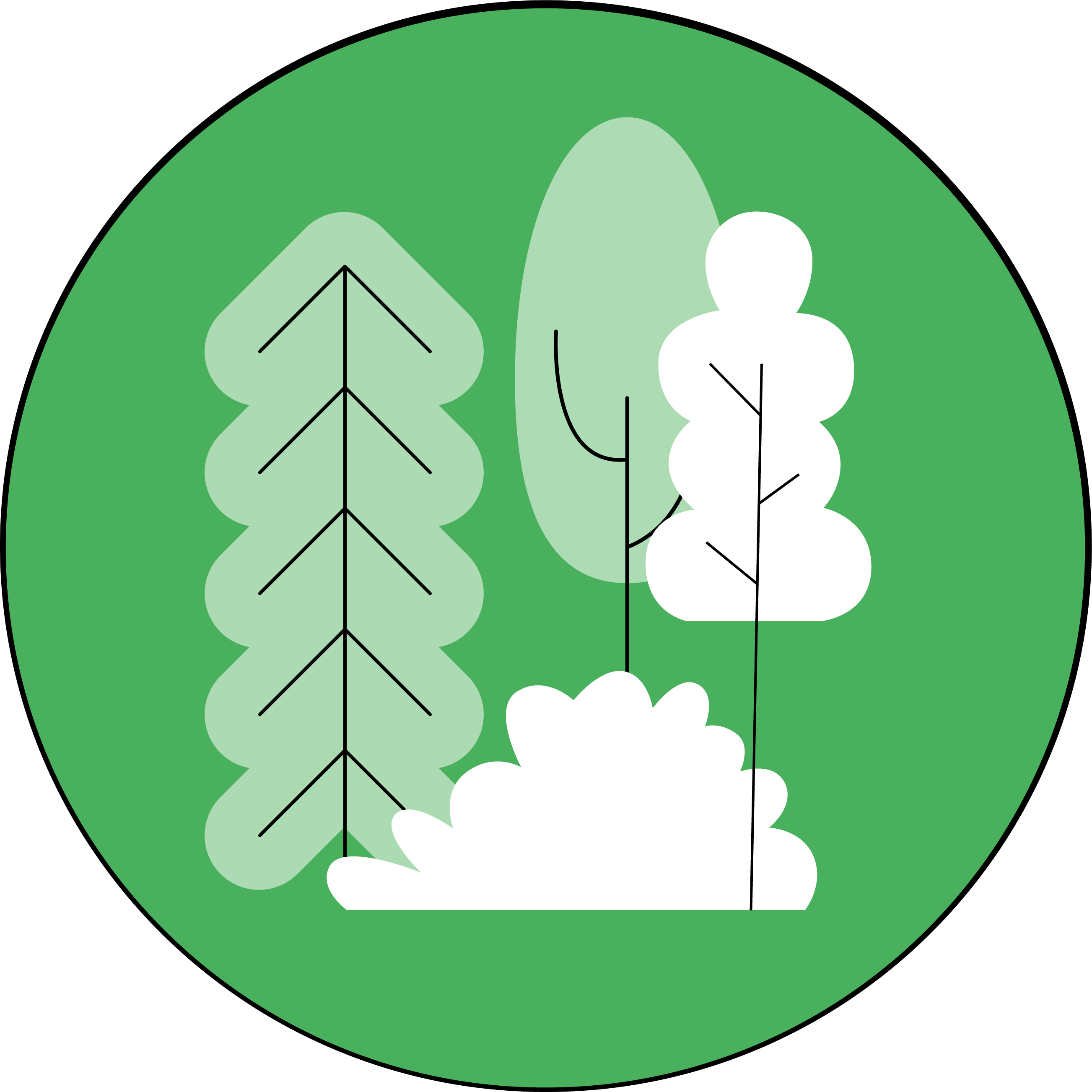 Classification de la végétation