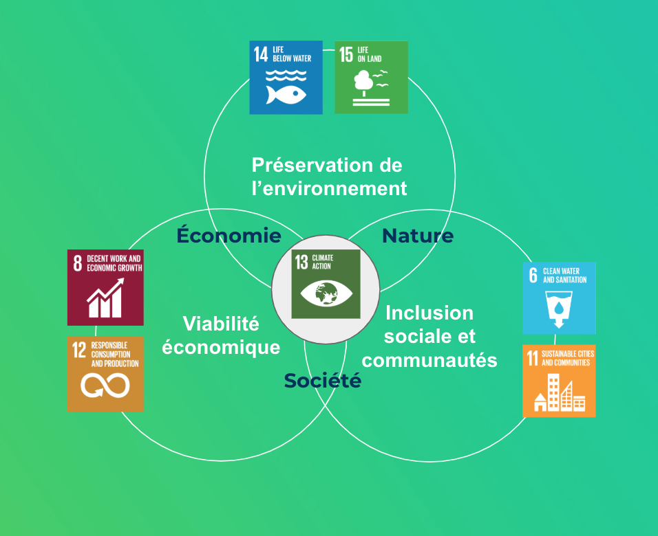 Schéma du développement durable, avec les objectifs durables de l'ONU, ©Murmuration
